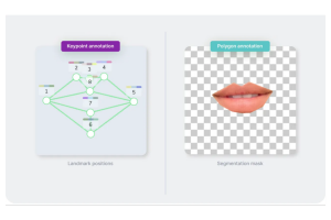 Key Point Annotation In Image And Video Labeling